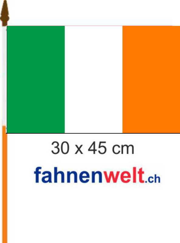 Flagge Fahne Irland 30 x 45 cm 
