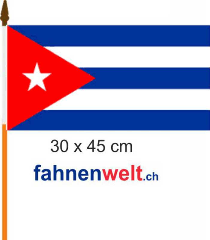 Fahne Flagge Schweiz 30 x45 cm