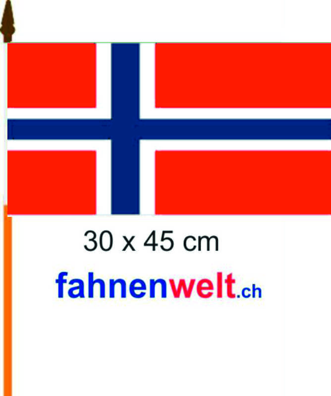 Fahne Flagge Norwegen 30 x 45 cm 