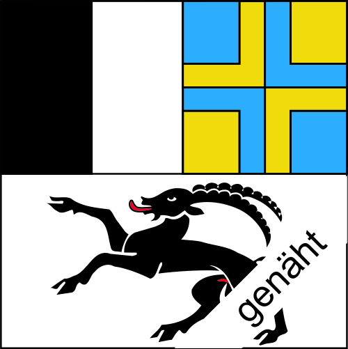 Flagge Kanton Graubünden Hissflagge 90 x 90 cm Fahne Schweiz 