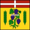 Fahne Gemeinde 1027 Lonay (VD) | 30 x 30 cm und Grösser