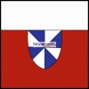 Fahne Gemeinde 1033 Cheseaux-sur-Lausanne (VD) | 30 x 30 cm und Grösser