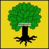 Fahne Gemeinde 1040 Echallens (VD) | 30 x 30 cm und Grösser