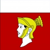 Fahne Gemeinde 1041 Poliez-Pittet (VD) | 30 x 30 cm und Grösser