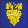 Fahne Gemeinde 1166 Perroy (VD) | 30 x 30 cm und Grösser