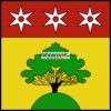 Fahne Gemeinde 1473 Chatillon (FR) | 30 x 30 cm und Grösser