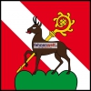 Fahne Gemeinde 1652 Botterens (FR) | 30 x 30 cm und Grösser