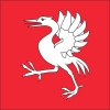 Fahne Bezirk Greyerz (FR) | 30 x 30 cm und Grösser