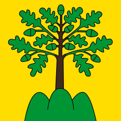 Fahne Gemeinde 1870 Monthey (VS) | 30 x 30 cm und Grösser