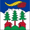 Fahne Gemeinde 1873 Val-d'Illiez (VS) | 30 x 30 cm und Grösser