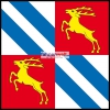 Fahne Gemeinde 1895 Vionnaz (VS) | 30 x 30 cm und Grösser