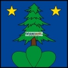 Fahne Gemeinde 1958 St-Léonard (VS) | 30 x 30 cm und Grösser