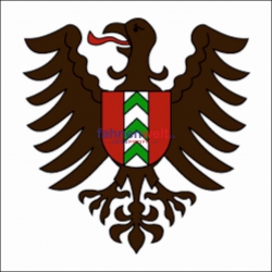 Fahne Gemeinde 2053 Cernier Ehemalige Gemeinde (NE) | 30 x 30 cm und Grösser