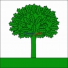 Fahne Gemeinde 2063 Engollon Ehemalige Gemeinde (NE) | 30 x 30 cm und Grösser