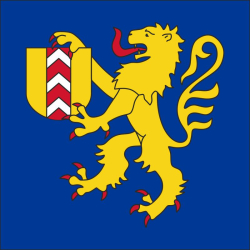 Fahne Gemeinde 2063 Savagnier Ehemalige Gemeinde (NE) | 30 x 30 cm und Grösser