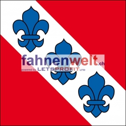 Fahne Gemeinde 2076 Gals (BE) | 30 x 30 cm und Grösser