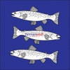 Fahne Gemeinde 2105 Travers Ehemalige Gemeinde (NE) | 30 x 30 cm und Grösser
