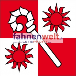 Fahne Gemeinde 2564 Bellmund (BE) | 30 x 30 cm und Grösser