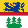 Fahne Gemeinde 3086 Wald(BE) | 30 x 30 cm und Grösser