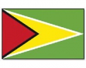 Guyana Hissfahne gedruckt im Querformat | 90 x 150 cm
