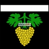 Fahne Gemeinde 3184 Wünnewil (FR) | 30 x 30 cm und Grösser