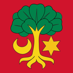 Fahne Gemeinde 3235 Erlach (BE) | 30 x 30 cm und Grösser