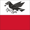 Fahne Gemeinde 3255 Rapperswil (BE) | 30 x 30 cm und Grösser
