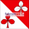 Fahne Gemeinde 3472 Rumendingen (BE) | 30 x 30 cm und Grösser