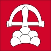 Fahne Gemeinde 3552 Ringgenberg (BE) | 30 x 30 cm und Grösser