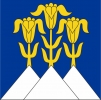 Fahne Gemeinde 3638 Blumenstein (BE) | 30 x 30 cm und Grösser