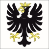 Fahne Gemeinde 3714 Frutigen (BE) | 30 x 30 cm und Grösser