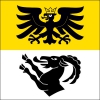 Fahne Gemeinde 3806 Boenigen (BE) | 30 x 30 cm und Grösser
