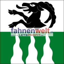 Fahne Gemeinde 3822 Lauterbrunnen (BE) | 30 x 30 cm und Grösser
