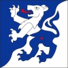 Fahne Gemeinde 3855 Brienz (BE) | 30 x 30 cm und Grösser