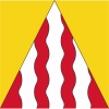 Fahne Gemeinde 3855 Schwanden bei Brienz (BE) | 30 x 30 cm und Grösser