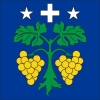 Fahne Gemeinde 3900 Brigerbad Ehemalige Gemeinde (VS) | 30 x 30 cm und Grösser