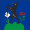 Fahne Gemeinde 3982 Bitsch (VS) | 30 x 30 cm und Grösser
