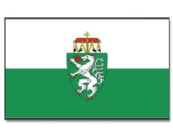 Steiermark mit Wappen Fahne / Flagge am Stab | 30 x 45 cm