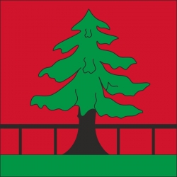 Fahne Gemeinde 4247 Grindel (SO) | 30 x 30 cm und Grösser