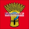 Fahne Gemeinde 4313 Möhlin (AG) | 30 x 30 cm und Grösser
