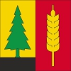 Fahne Gemeinde 4493 Wenslingen (BL) | 30 x 30 cm und Grösser