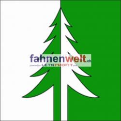Fahne Gemeinde 4558 Heinrichswil Ehemalige Gemeinde (SO) | 30 x 30 cm und Grösser