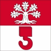 Fahne Gemeinde 4573 Lohn-Ammannsegg (SO) | 30 x 30 cm und Grösser