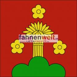 Fahne Gemeinde 4579 Gossliwil Ehemalige Gemeinde (SO) | 30 x 30 cm und Grösser