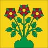 Fahne Gemeinde 4654 Lostorf (SO) | 30 x 30 cm und Grösser