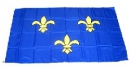 Fahne / Flagge Ile de France gedruckt | 90 x 150  cm