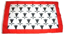 Fahne / Flagge Limousin gedruckt | 90 x 150  cm
