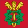 Fahne Gemeinde 4914 Roggwil (BE) | 30 x 30 cm und Grösser