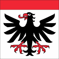 Fahne Bezirk Aarau (AG) | 30 x 30 cm und Grösser