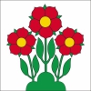 Fahne Gemeinde 5643 Sins (AG) | 30 x 30 cm und Grösser